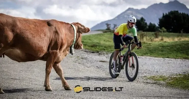 SlidesLT SOCIAL RIDE su MARTYNU 06-11